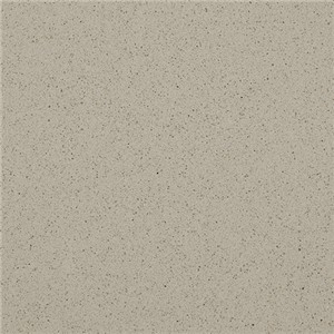 Viatera Quartz Antique Taupe CQ542 63"X126" Polished 55sf 2CM