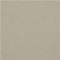 Viatera Quartz Antique Taupe CQ542 63"X126" Polished 55sf 3CM