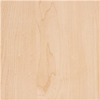 KENNSINGTON MAPLE 07 335 WIL10776K7V48096