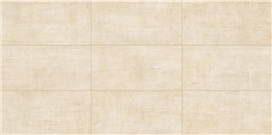 Fray Ivory -  11 3/4" x 23 5/8"   Matte 13.56  SF/CT