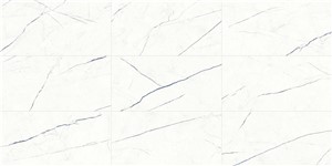 Beyond Calacatta Ocean White -  11 3/4 x 23 5/8   Matte 13.56  SF/CT