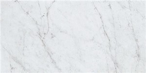 Eon Carrara -  11 3/4" x 23 5/8"   Matte 13.56  SF/CT