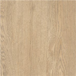 RUSKIN OAK 376 HD (AEON) WIL1700157P60144