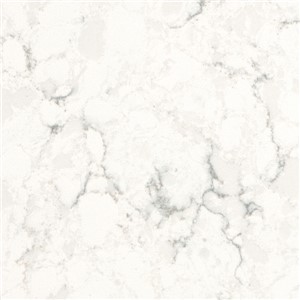 Quartz Forte MS020 63'' x 130'' Polished 57 SF/PC 2CM