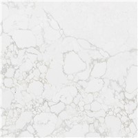 Quartz Adagio Gold MS024 63'' x 130'' Polished 57 SF/PC 2CM