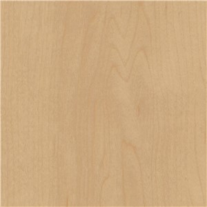 ID LATITUDE 6X48  7526 PEARL MAPLE 36 SF/CT