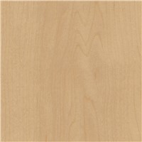 ID LATITUDE 6X48  7526 PEARL MAPLE 36 SF/CT