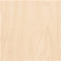 MANITOBA MAPLE 335 VERTICAL WIL791160V 48096