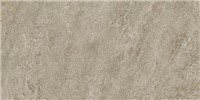 Element Earth -  11 3/4" x 23 5/8"   Matte 13.56  SF/CT