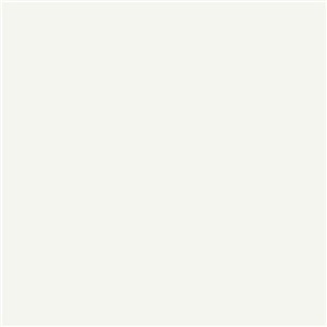 TFL Designer White 854-TFL 4X8 3/4" Particle Board P2S