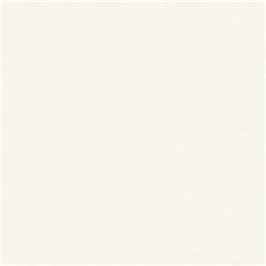 TFL Frosty White 854-TFL 5X8 3/4" Particle Board P2S