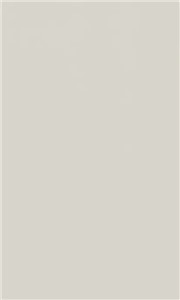 TFL Grey 854-TFL 4X8 3/4" Particle Board P2S