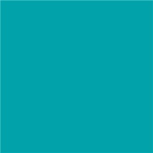 TFL Ocean 854-TFL 4X8 3/4" Particle Board P2S