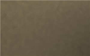 Borte PET Panel SAM03 Brushed Gold 18mm 48" X 96" Metal Solid