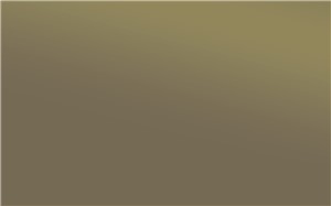 Borte PET Panel SDP05 Gold Brown 18mm 48" X 96" Premium Solid