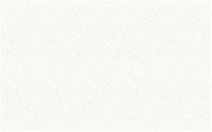 Borte PET Panel SDP07 Saffiano White 18mm 48" X 96" Premium Solid