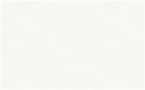 Borte PET Panel SDP08 Sandy White 18mm 48" X 96" Premium Solid