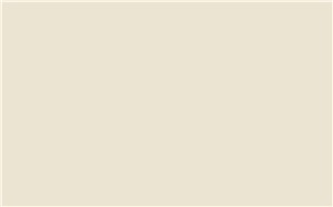 Borte PET Panel SSM02 Warm White 18mm 48" X 96" Special Solid