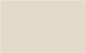 Borte PET Panel SSM03 Misty Grey 18mm 48" X 96" Special Solid