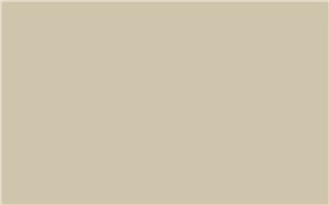 Borte PET Panel SSM04 Silky Grey 18mm 48" X 96" Special Solid