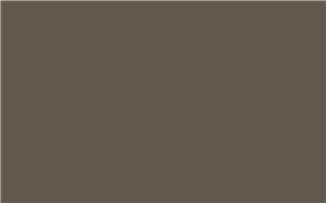 Borte PET Panel SSM06 Cocoa Grey 18mm 48" X 96" Special Solid