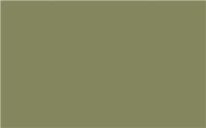 Borte PET Panel SSM13 Herbtea Green 18mm 48" X 96" Special Solid