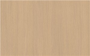 Borte PET Panel STN02 Tender Oak 18mm 48" X 96" Natural Texture