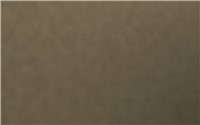 Borte Zero Joint Edgeband SAM03 Brushed Gold 328 lf