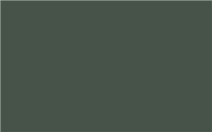 Borte Zero Joint Edgeband SSM09 Hazy Green 328 lf