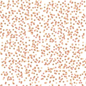 APRICOT GLOW DAISY 362 VERT VDL GROUP 1 VERTICAL GRADE WILY004360V4809