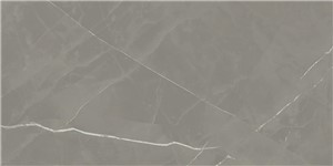 Beyond Calacatta Gray -  11 3/4" x 23 5/8"   Matte 13.56  SF/CT