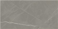 Beyond Calacatta Gray -  11 3/4" x 23 5/8"   Matte 13.56  SF/CT