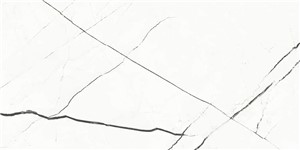 Beyond Calacatta Glam White -  11 3/4 x 23 5/8   Matte 13.56  SF/CT