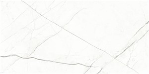 Beyond Calacatta Classic White -  11 3/4 x 23 5/8   Matte 13.56  SF/CT