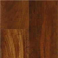 ADURA MAX TIGER'S EYE 27.39 ACACIA 6X48 MANMAX011