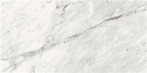 TRILOGY CARRARA 12X24 13.56SF 13.56SF/CTN 11-3/4X23-5/8 ATL61001000303