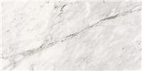 Trilogy Carrara Classic -  11 3/4 x 23 5/8   Matte 13.56  SF/CT