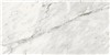 TRILOGY CARRARA 12X24 13.56SF 13.56SF/CTN 11-3/4X23-5/8 ATL61001000303