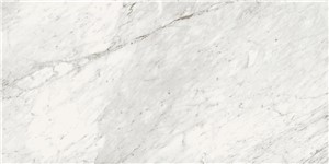 TRILOGY CARRARA 24X48 15.50SF 15.50SF/CTN 23-5/8X47-5/8 ATL61001000303