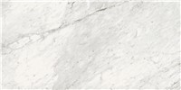 Trilogy Carrara Classic -  23 5/8 x 47 5/8   Matte 15.5  SF/CT