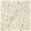 VCTII 533 TRUE BEIGE 12"X12" 45SF/CT