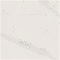 WIL QUARTZ CALACATTA PASTINO 3 CM 65X130 58.68SF WILQ40583CM65130