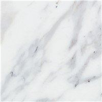 CALUCTTA MARBLE 160 SOLICOR 38 FINISH WIL492538SO48096