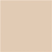 BEIGE 107 STANDARD WIL153060S 48096