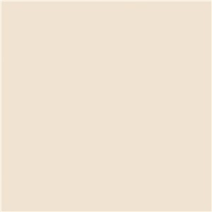 LIGHT BEIGE 107 STANDARD 1 FINISH W/FILM WIL1531F01S48096