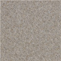 NICKEL EV 107 STANDARD WIL481360S 48120