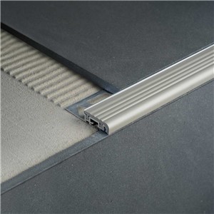 FSA50AS RISER COVER 2"