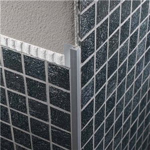 SJM44AS MOSAICTEC ANODIZED SILVER 8'10" PRFSJM44AS